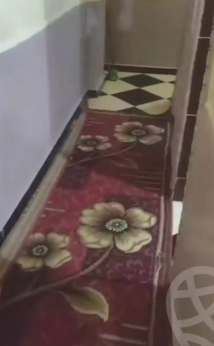 https://aqarmap.com.eg/ar/listing/6996140-for-sale-alexandria-al-agamy-faddah-st