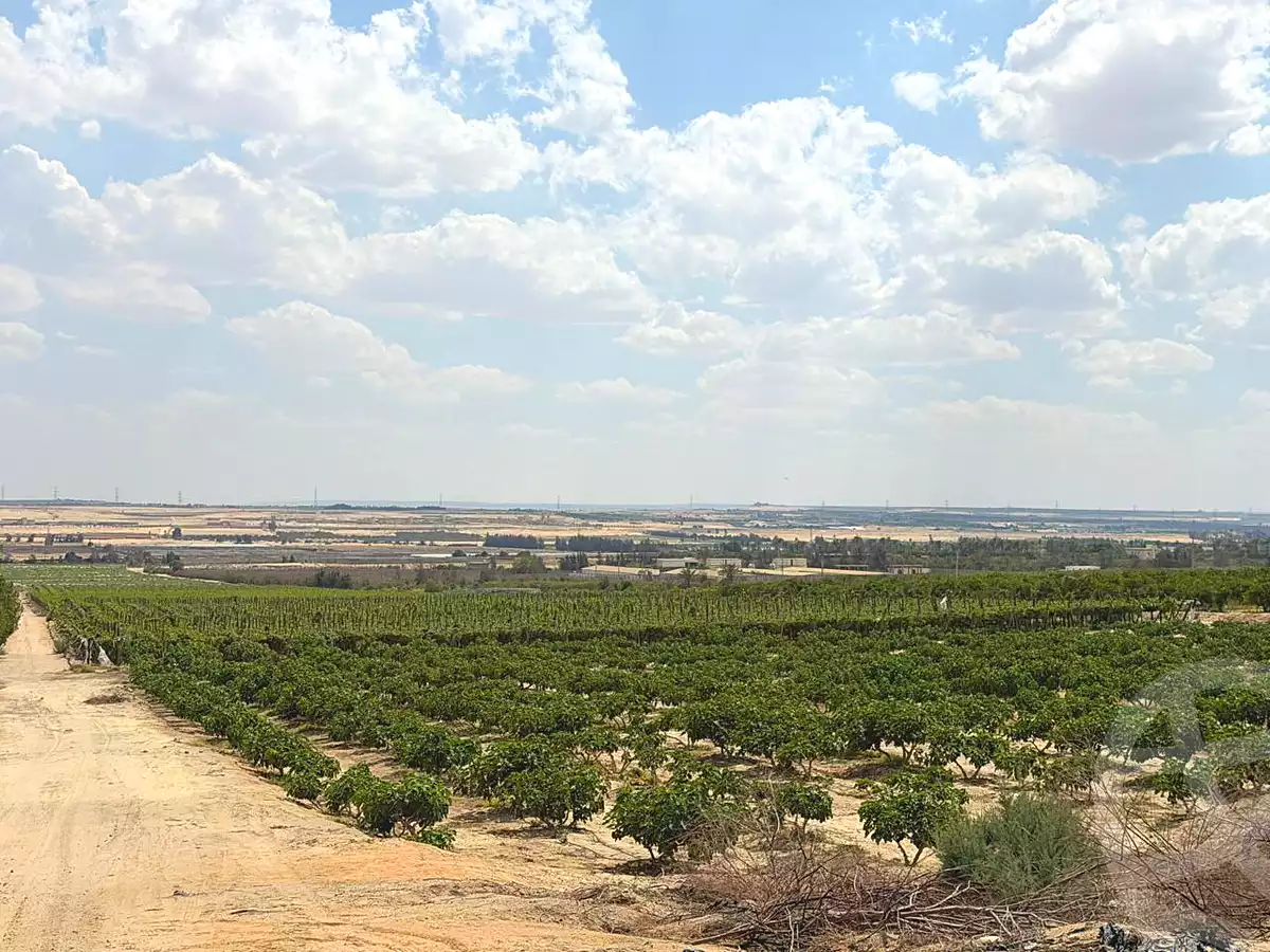 https://aqarmap.com.eg/ar/listing/6997255-for-sale-cairo-el-sheikh-zayed-city-alex-cairo-desert-road