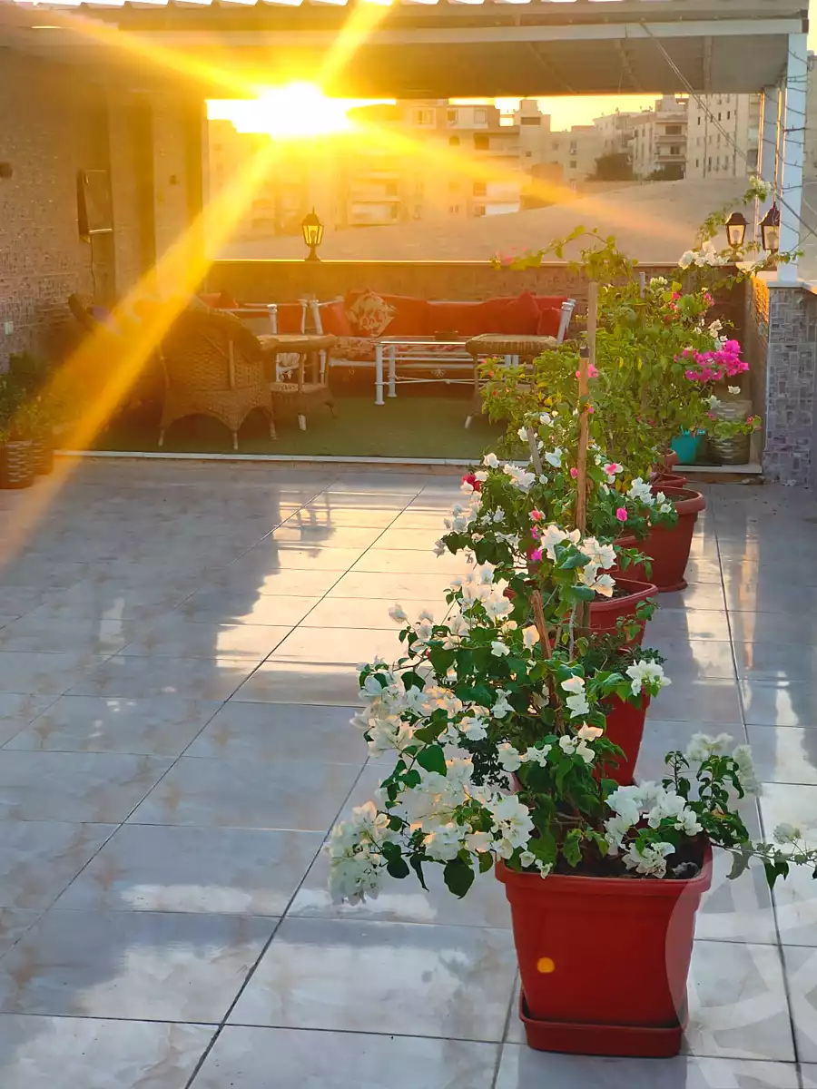 https://aqarmap.com.eg/en/listing/7002809-for-sale-cairo-hadayek-el-ahram-mntq-d