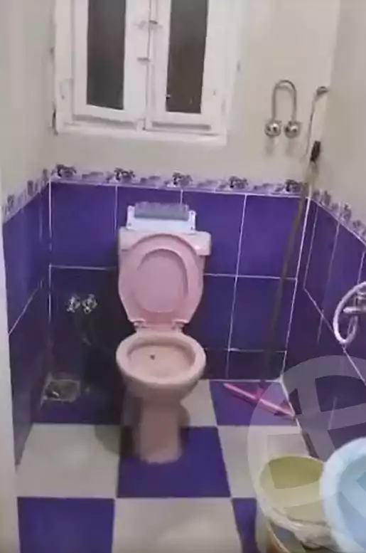 https://aqarmap.com.eg/en/listing/7003712-for-rent-cairo-bashtil