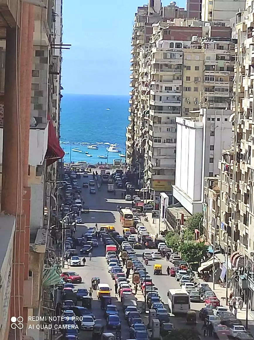 https://aqarmap.com.eg/en/listing/7005583-for-sale-alexandria-miami-iskandar-ibrahim-st