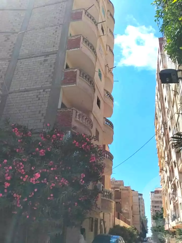 https://aqarmap.com.eg/ar/listing/7007321-for-sale-alexandria-al-agamy-lbytsh-bianchiii