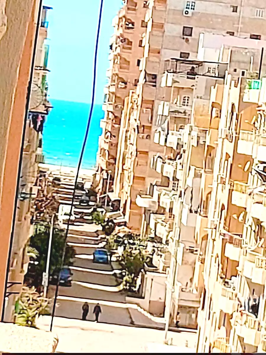 https://aqarmap.com.eg/en/listing/7008292-for-sale-alexandria-al-agamy-shataa-el-nakheel