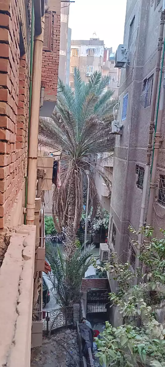 https://aqarmap.com.eg/ar/listing/7009715-for-sale-cairo-el-haram-el-talbya-shr-shl-hmz