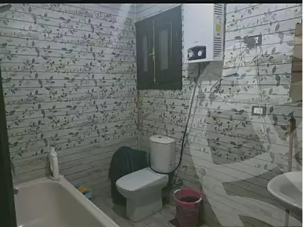 https://aqarmap.com.eg/en/listing/7009585-for-sale-cairo-ain-shams-ahmed-esmat-st