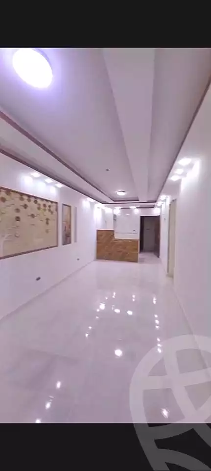 https://aqarmap.com.eg/en/listing/7010855-for-sale-alexandria-al-agamy-shataa-el-nakheel-street-29