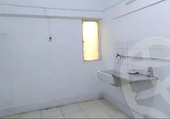 https://aqarmap.com.eg/en/listing/7013181-for-rent-cairo-downtown
