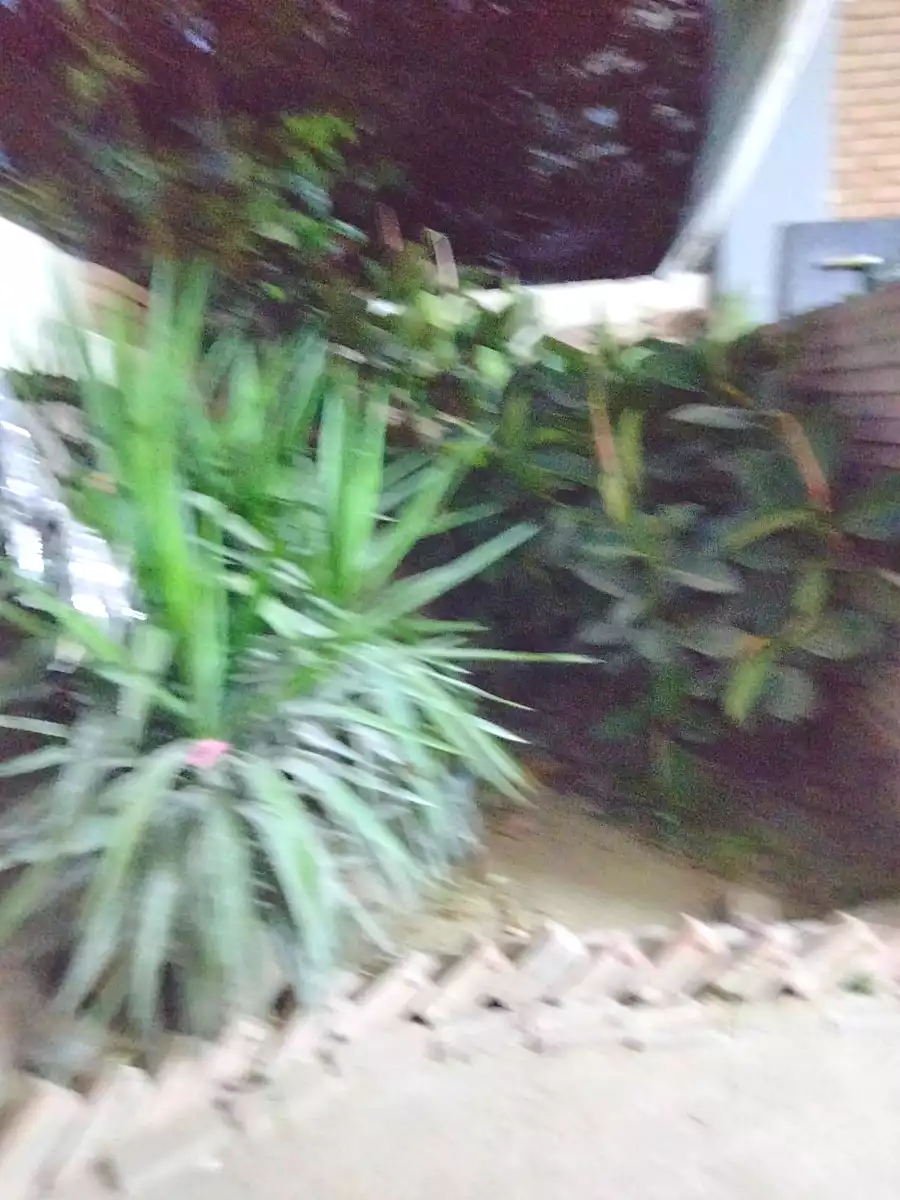 https://aqarmap.com.eg/ar/listing/7014120-for-sale-alexandria-al-agamy-el-hanouvel-al-asdakaa-st