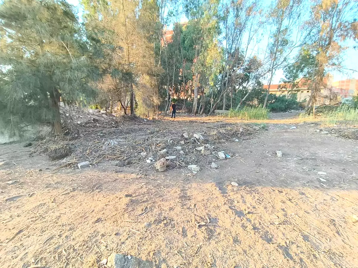 https://aqarmap.com.eg/ar/listing/7014167-for-sale-dakahlia-mansoura-el-bashtamir