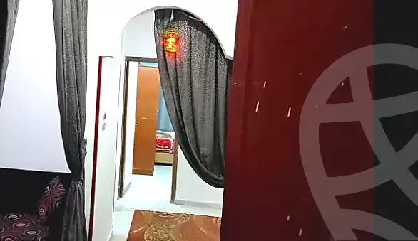 https://aqarmap.com.eg/ar/listing/7014212-for-rent-luxor-luxor-city