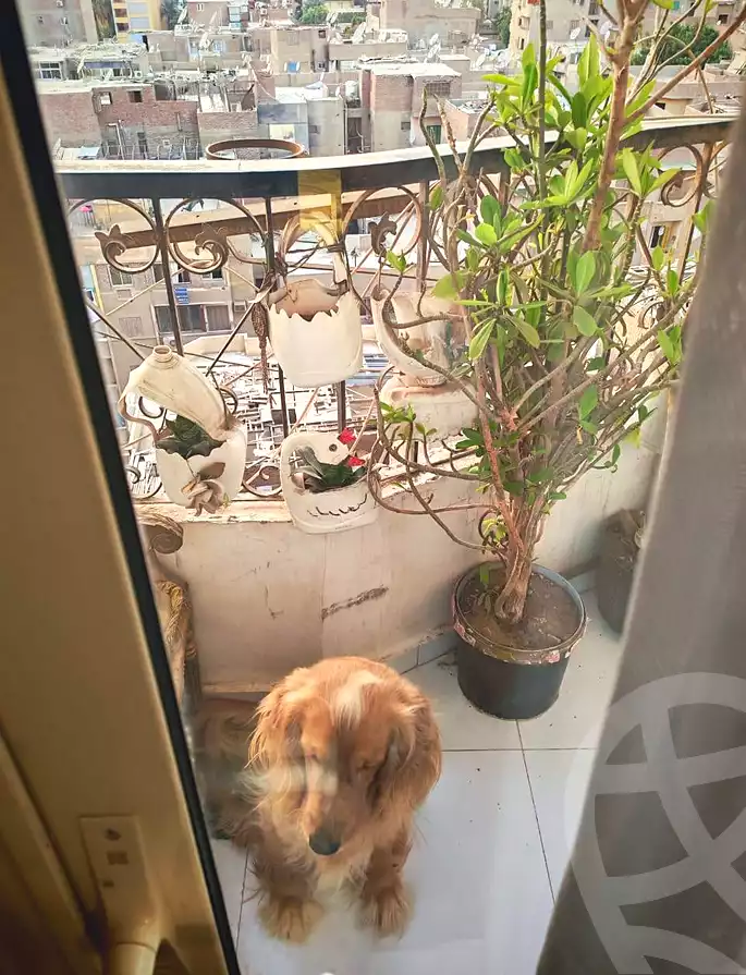 https://aqarmap.com.eg/en/listing/7017297-for-sale-cairo-el-haram-shareaa-el-haram