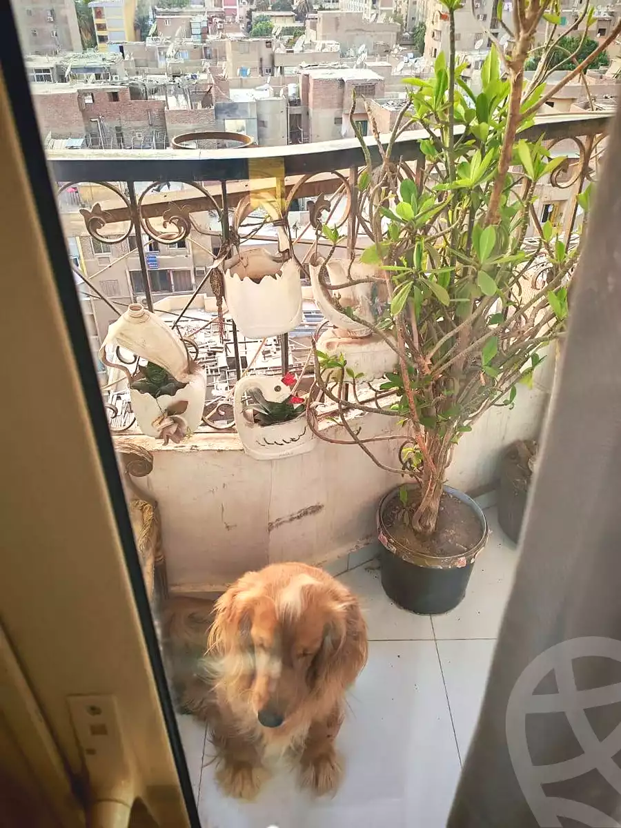 https://aqarmap.com.eg/en/listing/7018482-for-sale-cairo-el-haram-shareaa-khatem-el-morsalen