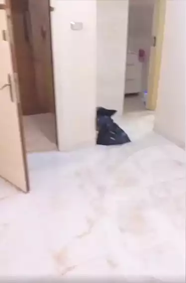 https://aqarmap.com.eg/ar/listing/7019269-for-sale-cairo-el-sayyeda-zeinab-al-hanafi-st
