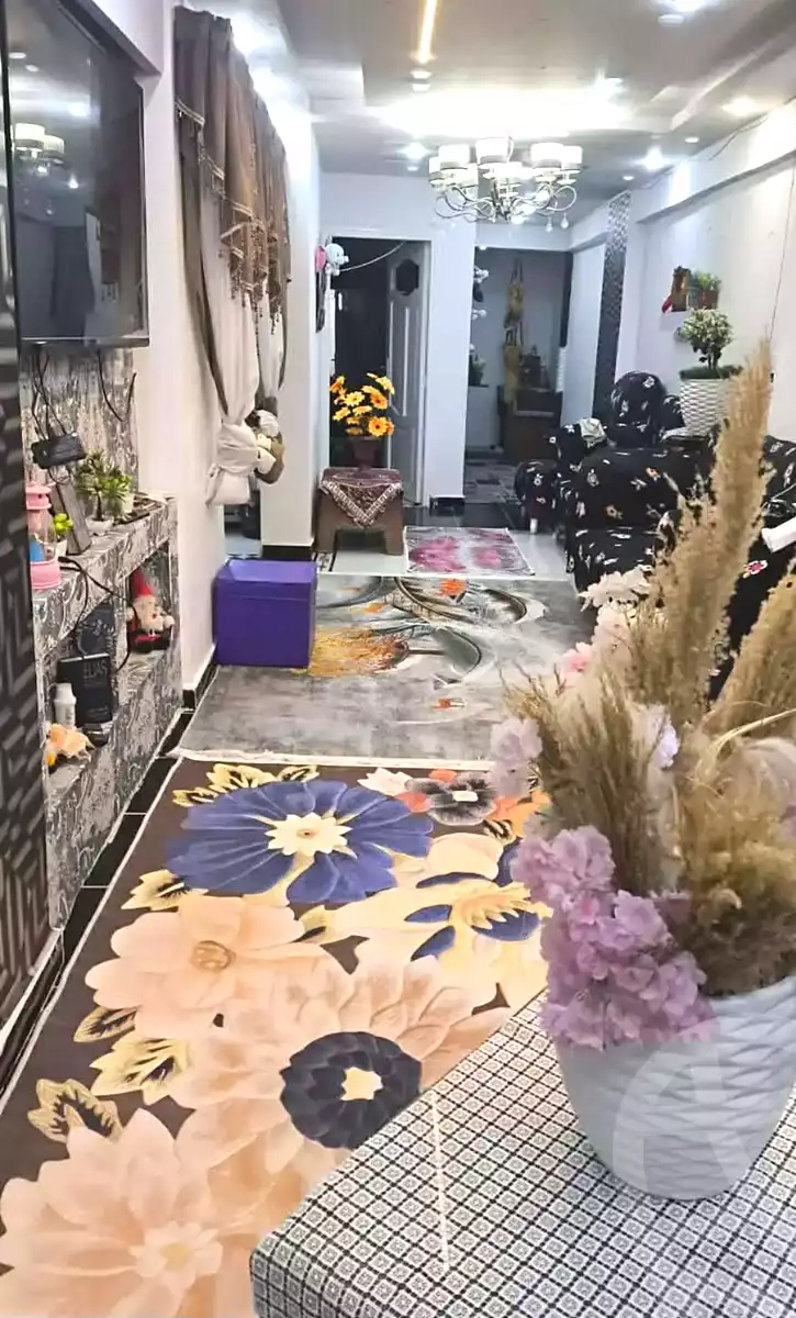 https://aqarmap.com.eg/en/listing/7020157-for-sale-alexandria-al-agamy-lbytsh