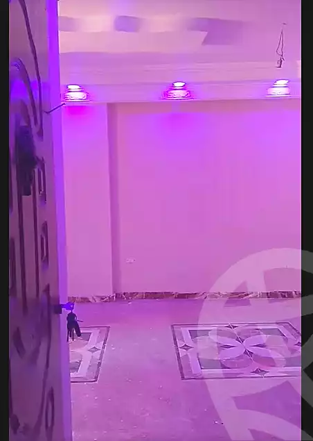 https://aqarmap.com.eg/en/listing/7022511-for-rent-cairo-bashtil