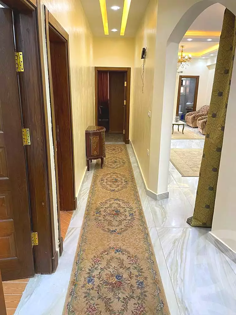https://aqarmap.com.eg/en/listing/7023332-for-rent-cairo-new-cairo-el-narges-el-narges-3-wasef-ghaly-basha-st