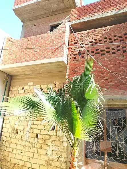 https://aqarmap.com.eg/en/listing/7023478-for-sale-alexandria-abu-talat