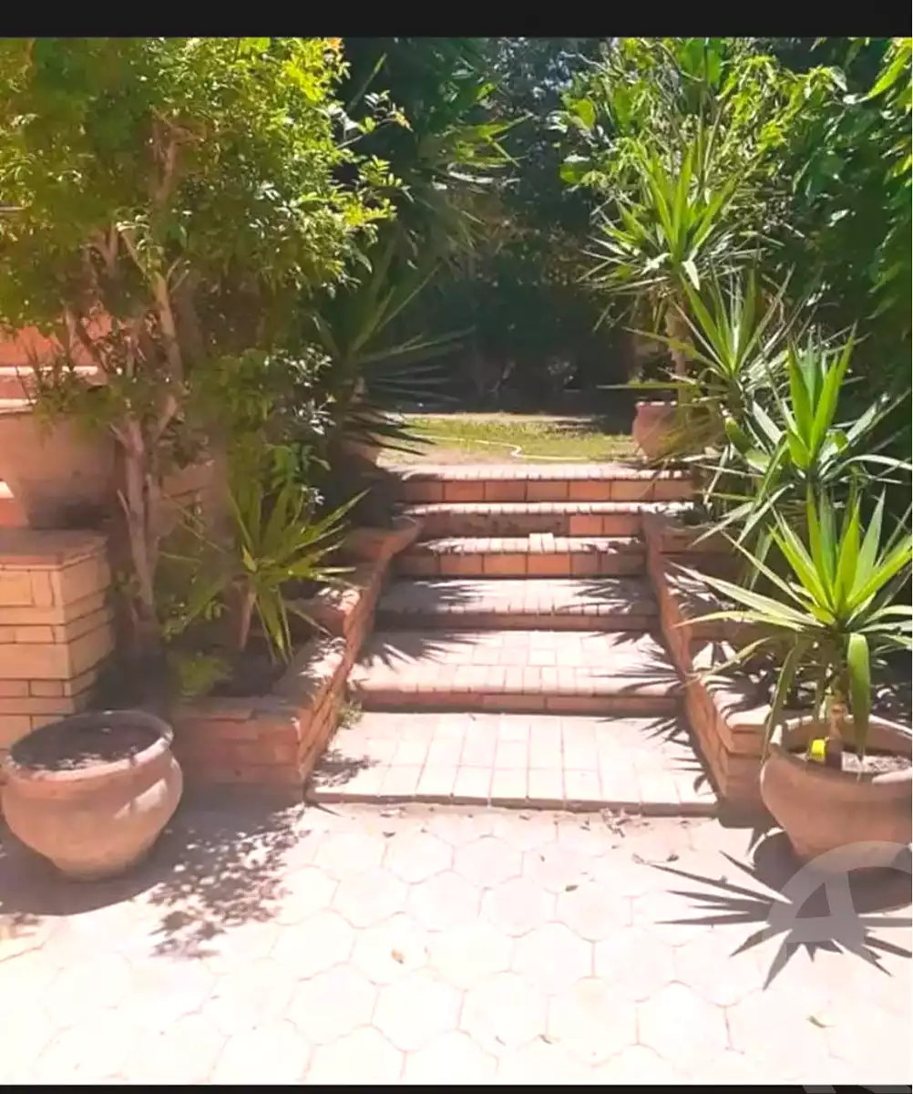 https://aqarmap.com.eg/en/listing/7023907-for-sale-alexandria-al-agamy-lbytsh-bianchiii
