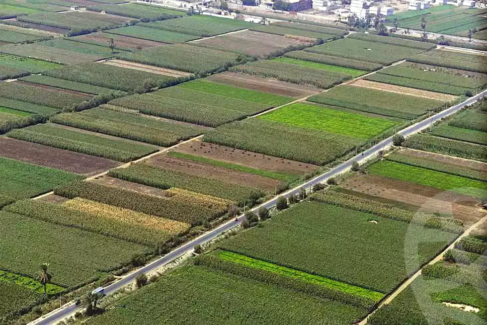 https://aqarmap.com.eg/en/listing/7026154-for-sale-alexandria-el-amreya-baghdad