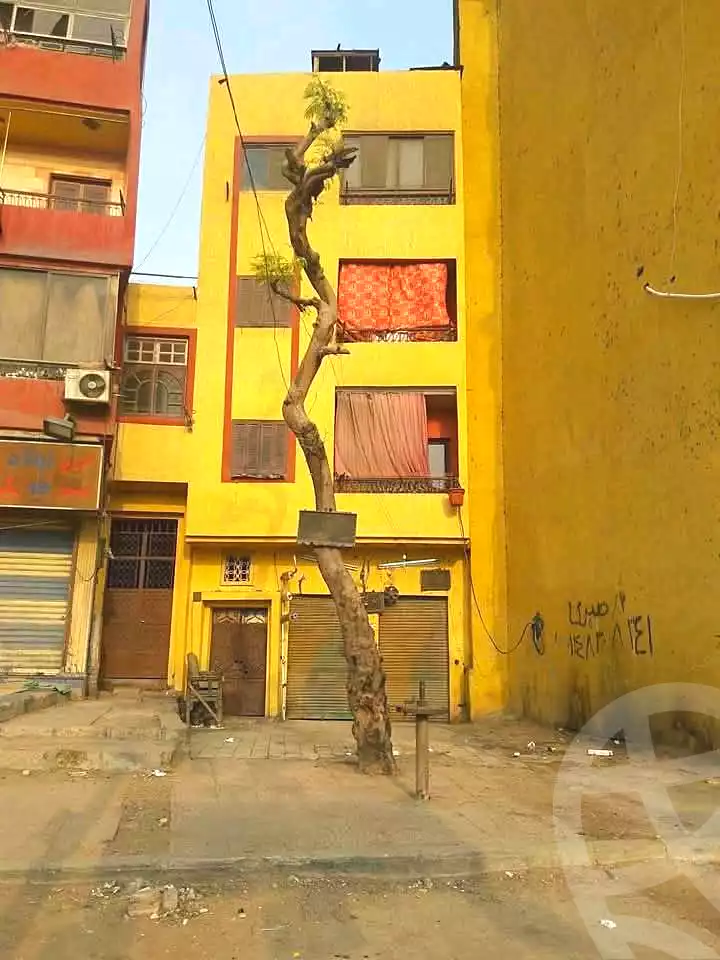 https://aqarmap.com.eg/ar/listing/7027097-for-sale-cairo-ljyz-el-bahr-el-azam