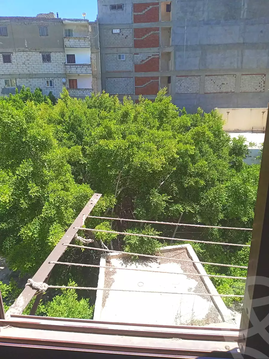 https://aqarmap.com.eg/en/listing/7027928-for-sale-alexandria-al-agamy-bw-ywsf