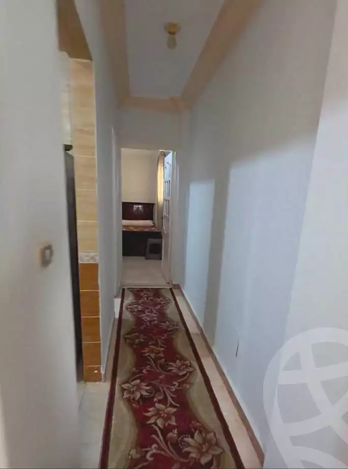 https://aqarmap.com.eg/ar/listing/7030534-for-rent-alexandria-miami-khld-bn-lwlyd