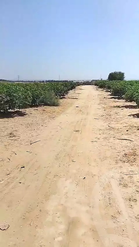 https://aqarmap.com.eg/en/listing/7031548-for-sale-beheira-wadi-el-natrun