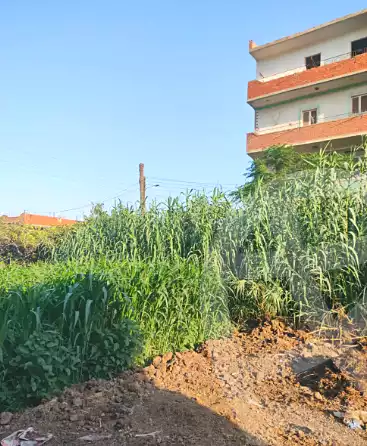 https://aqarmap.com.eg/ar/listing/7032689-for-sale-qalyubia-tokh-tokh-city