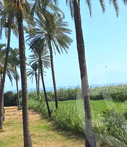 https://aqarmap.com.eg/en/listing/7034836-for-sale-alexandria-al-mamoura