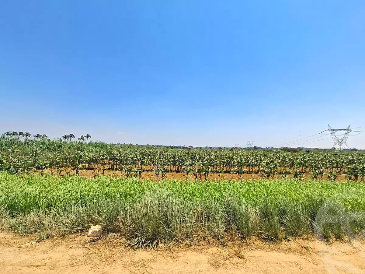 https://aqarmap.com.eg/en/listing/7035261-for-sale-alexandria-el-amreya