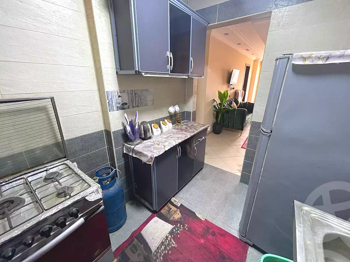 https://aqarmap.com.eg/en/listing/7037728-for-rent-cairo-old-cairo-nile-corniche-st