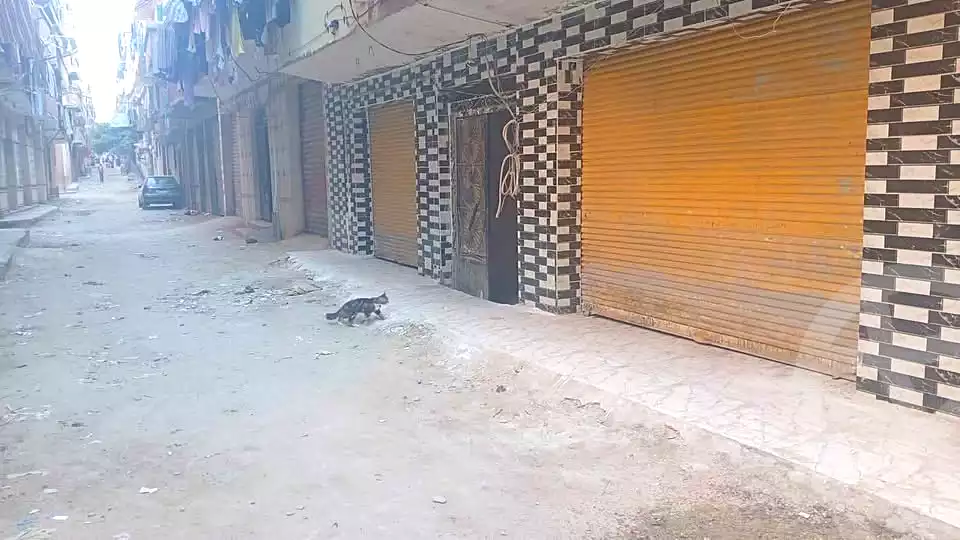 https://aqarmap.com.eg/en/listing/7038960-for-sale-alexandria-al-agamy-el-hanouvel-al-haded-we-al-soulb-st