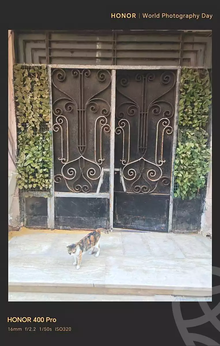 https://aqarmap.com.eg/en/listing/7039750-for-sale-alexandria-al-agamy-el-hanouvel-el-zahraa-city-st