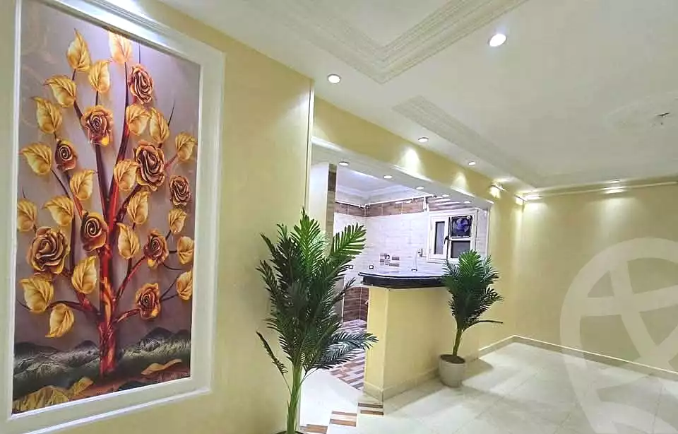 https://aqarmap.com.eg/en/listing/7039907-for-sale-cairo-el-haram-el-lebeny