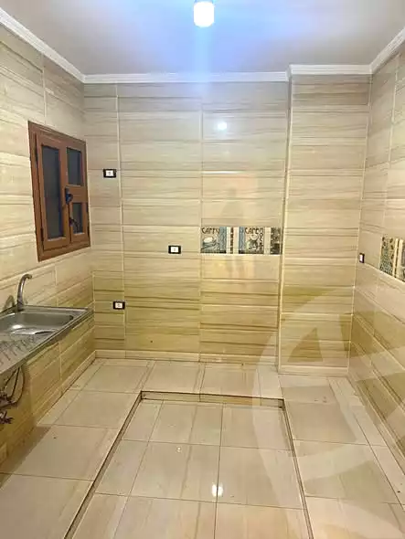 https://aqarmap.com.eg/en/listing/7041291-for-rent-cairo-faisal-el-maryotyah