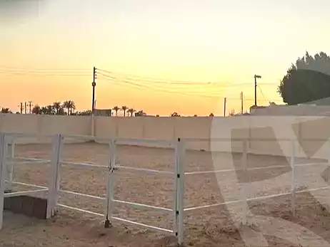 https://aqarmap.com.eg/ar/listing/7043409-for-sale-cairo-el-mansuriyyah-el-saliba