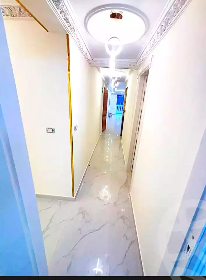 https://aqarmap.com.eg/ar/listing/7044766-for-sale-alexandria-miami-mahmoud-el-isawy-st