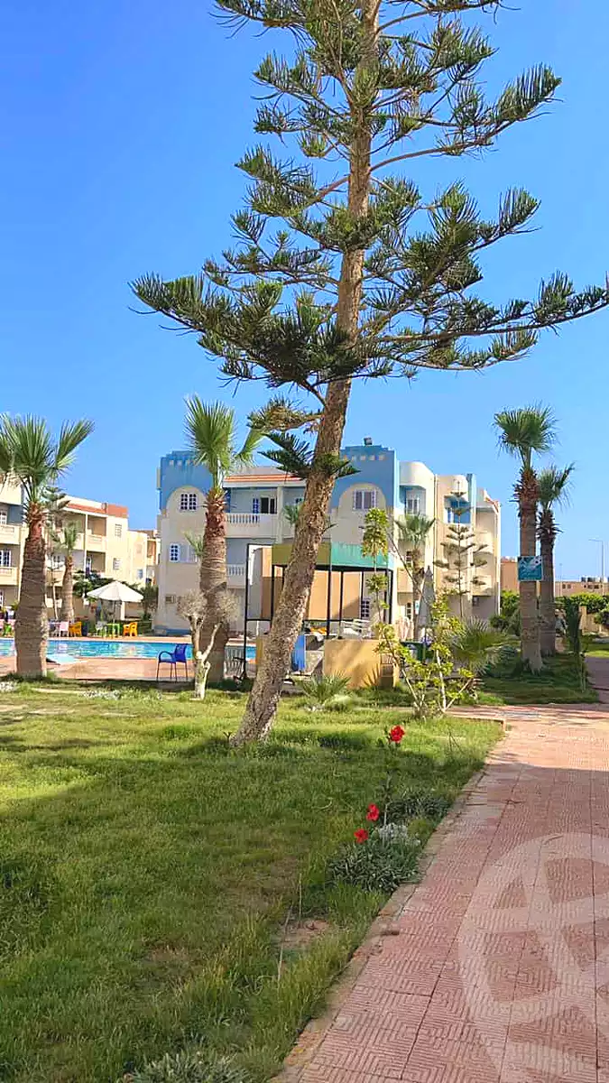 https://aqarmap.com.eg/ar/listing/6302117-for-rent-marsa-matruh-marsa-matrouh-resorts