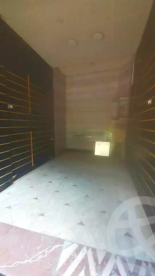 https://aqarmap.com.eg/en/listing/7047693-for-sale-alexandria-sydy-bshr-shr-mlk-hfny