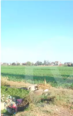 https://aqarmap.com.eg/ar/listing/7049200-for-sale-dakahlia-dekernes-kafr-abo-naser