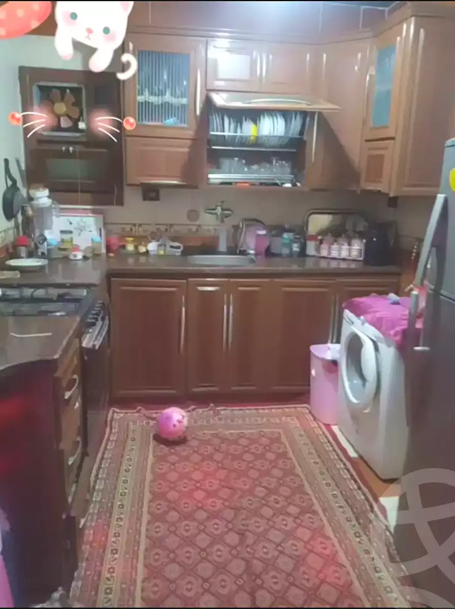 https://aqarmap.com.eg/ar/listing/7051061-for-sale-alexandria-miami