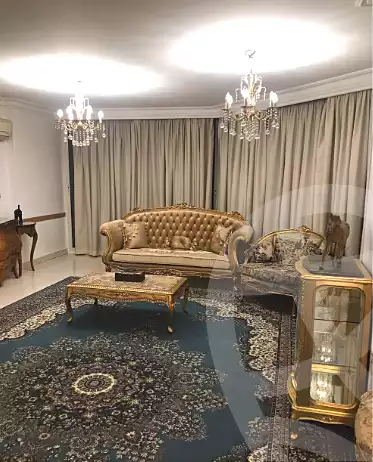 https://aqarmap.com.eg/ar/listing/7051619-for-rent-cairo-manial-manial-st