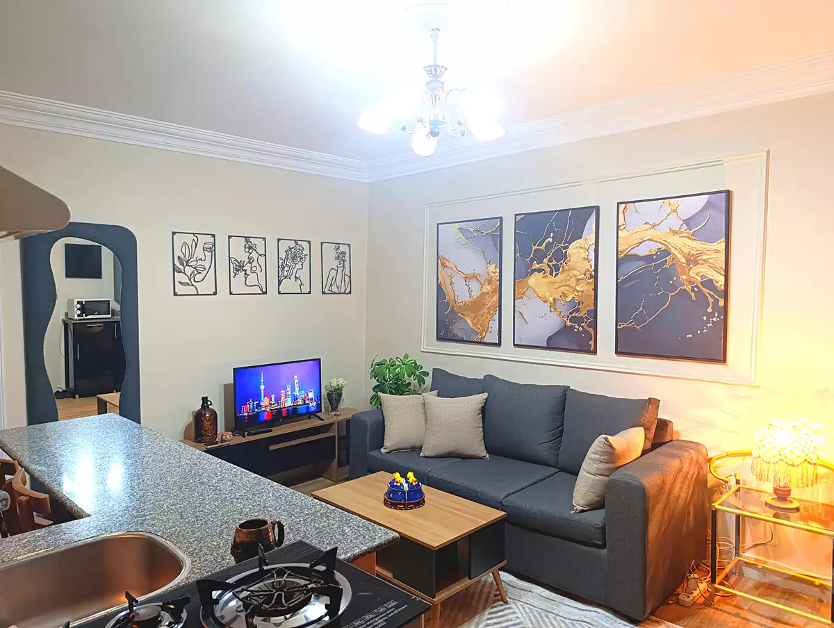 https://aqarmap.com.eg/en/listing/7002656-for-rent-cairo-downtown