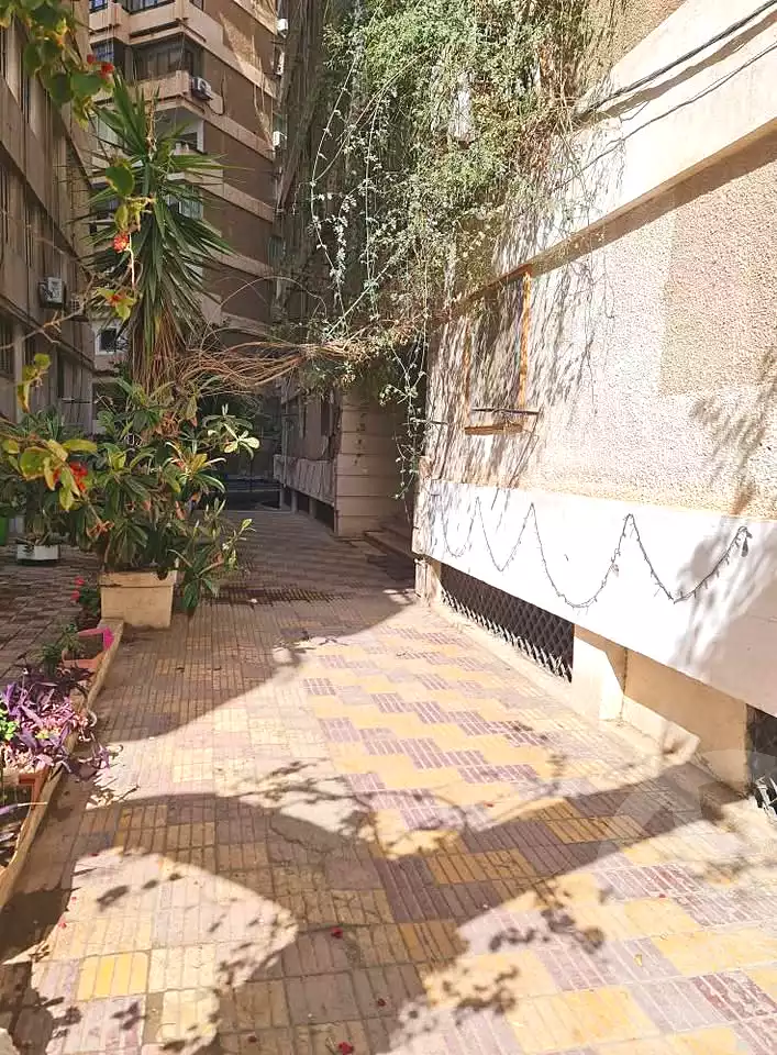 https://aqarmap.com.eg/ar/listing/7054482-for-sale-alexandria-smouha-tqsym-lqdh