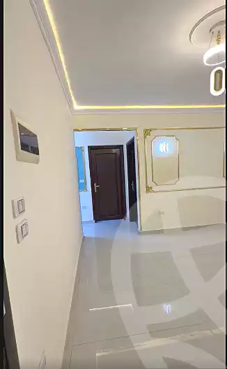 https://aqarmap.com.eg/en/listing/7055181-for-sale-cairo-ain-shams-mnshy-lthryr