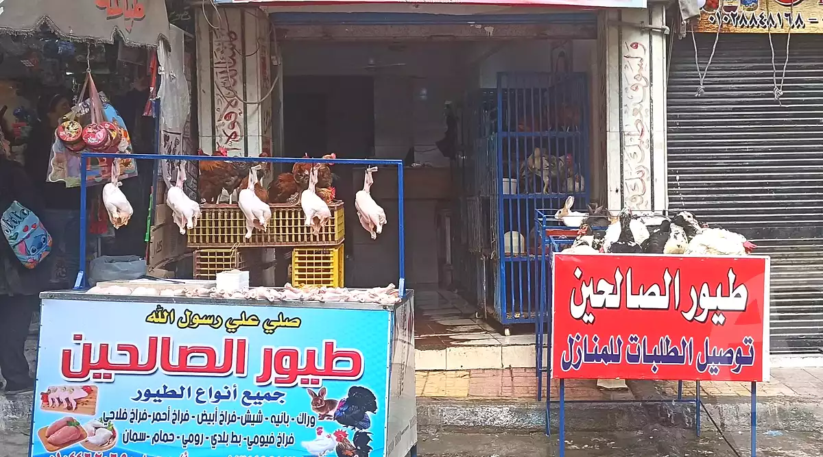 https://aqarmap.com.eg/ar/listing/7055569-for-sale-alexandria-sydy-bshr-sydy-bshr-bhry