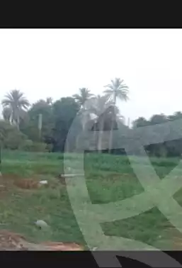 https://aqarmap.com.eg/en/listing/7060025-for-sale-el-minia-mallawi