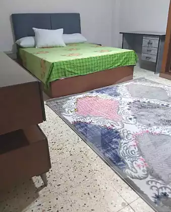 https://aqarmap.com.eg/ar/listing/7060151-for-rent-cairo-manial-mohamed-salem-st