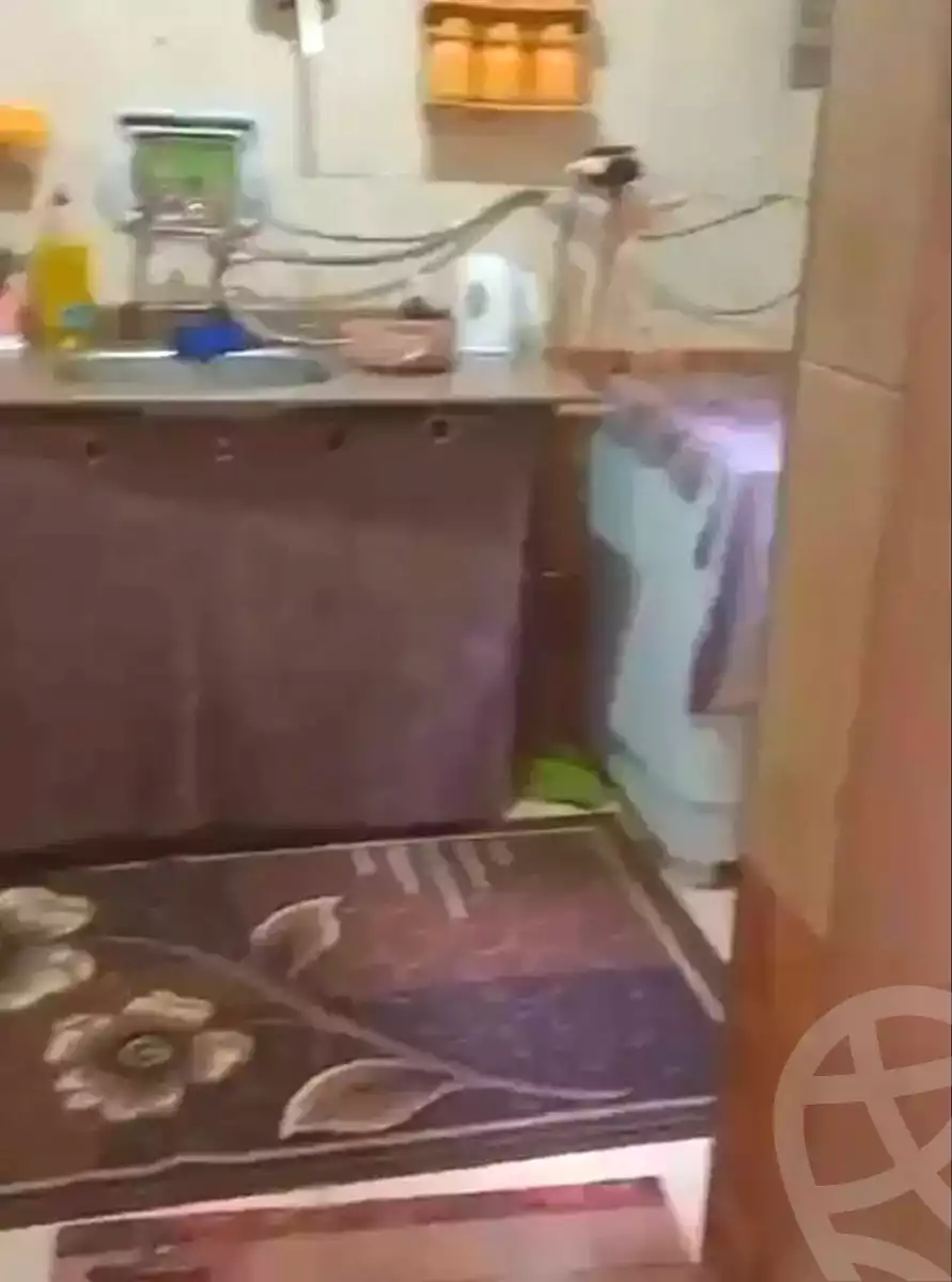 https://aqarmap.com.eg/ar/listing/7062315-for-sale-alexandria-lsywf