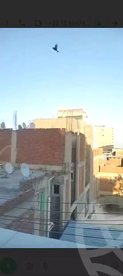 https://aqarmap.com.eg/ar/listing/7062362-for-sale-alexandria-al-mamoura-el-maamora-el-balad